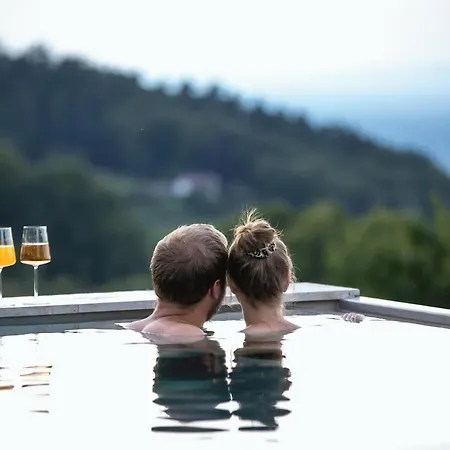 Haus Am Berg Inkl Privat Pool Wellness Prázdninový dům *