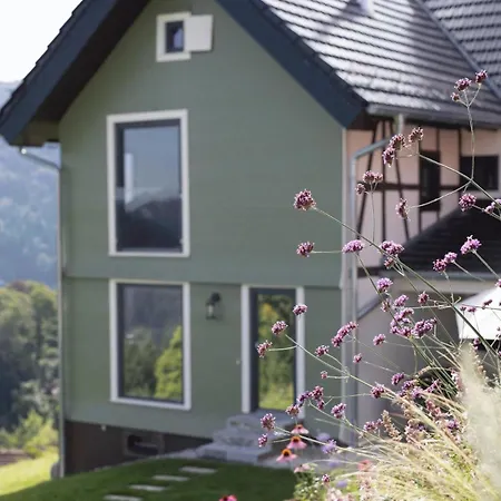 Haus Am Berg Inkl Privat Pool Wellness Prázdninový dům *