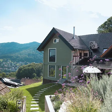 Haus Am Berg Inkl Privat Pool Wellness Bühlertal