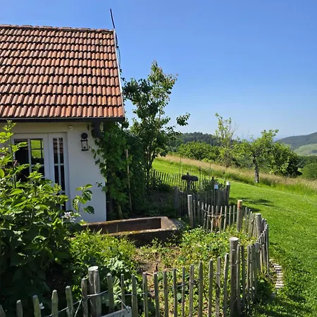 Vakantiehuis Haus Am Berg Inkl Privat Pool Wellness Bühlertal